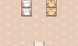 重庆小炒菜爆料视频下载,火爆视频背后的地道风味