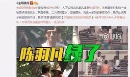 香港五仔爆料视频大全,揭秘幕后真相与惊人内幕